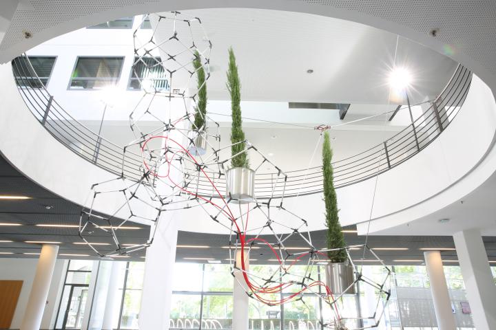 Three cypresses are suspended in polygonal constructions in the air in the foyer of EnBW Karlsruhe.