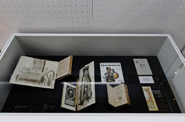 Various books opened in a showcase
