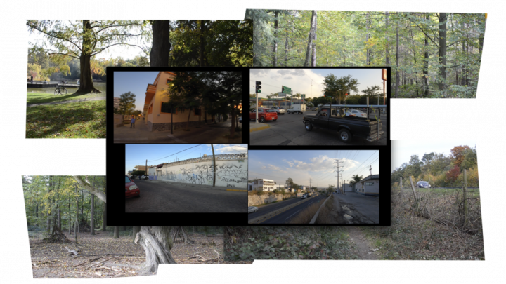 Zu sehen sind 4 Screens, über weiteren 4 Screens mir Landschaftsausschnitten.