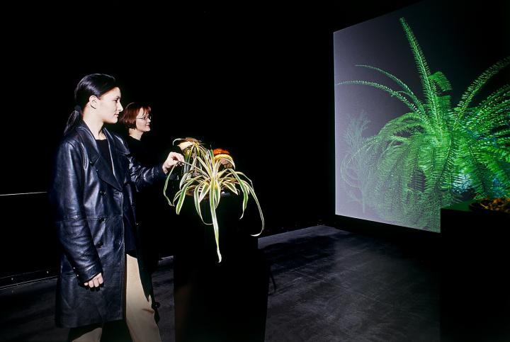 The Interactive Plant Growing