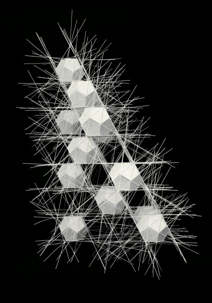Werk - Polyhedral Net Structure #2
