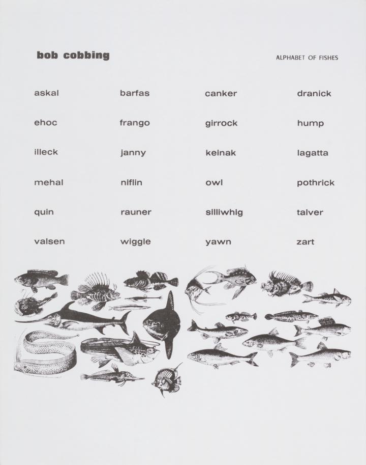 Werk - Alphabet of Fishes