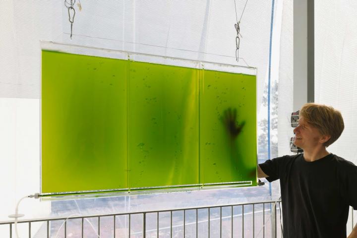 You can see a rectangular, flat container filled with a green liquid. A person is standing next to it on the right.