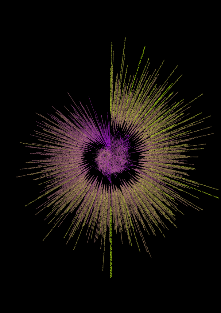 You can see a visualization of a network. The shape here resembles a circle composed of individual lines directed towards the center. The center is a smaller, violet-colored circle
