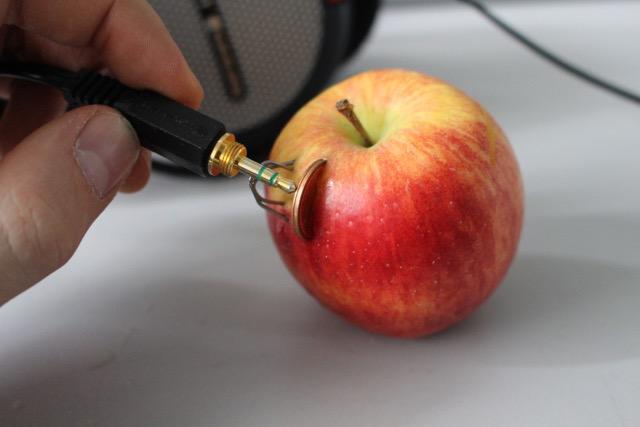 A copper coin and a zinc wire have been thrusted into an apple. Someone is holding a jack connector to both metallic items, that can now carry electricity. 