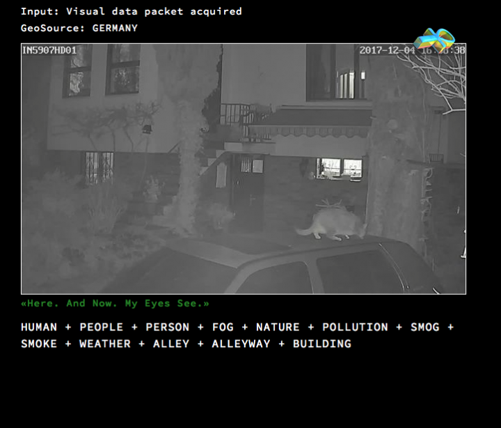 Der Screenshot einer Überwachungskamera zeigt eine Katze auf einem Auto , welches vor einem Haus geparkt ist.