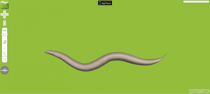 An animated worm against a green background.