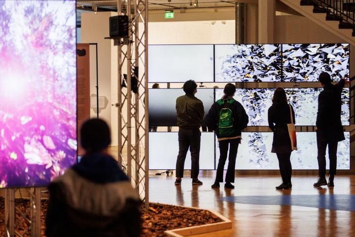 Random International, »Algorithmic Swarm Study (Triptych) / ll«, 2021. The picture shows people in front of a large screen in the BioMedia exhibition.
