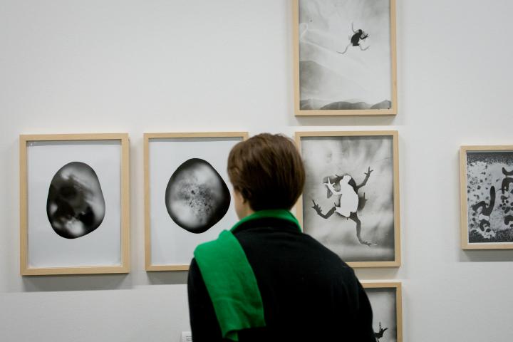 Eine Frau mit einem grünen Schal betrachtet mehrere Schwarz-Weiß-Bilder an einer Wand