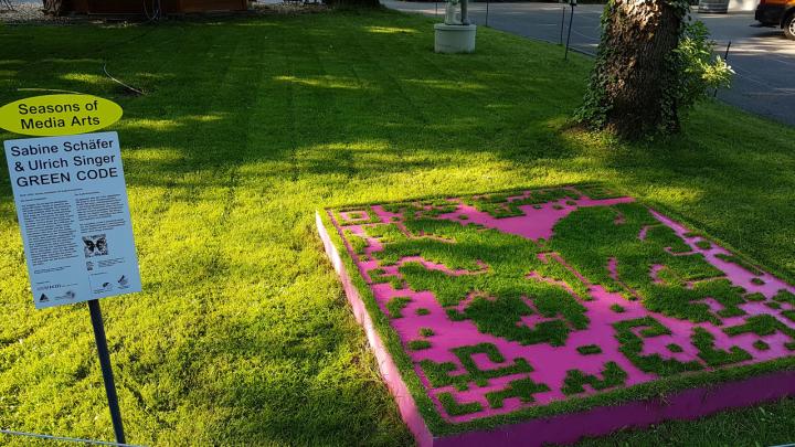 You can see a stencil lying on a surface of grass. The template has the form of a QR code. Grass grows through the free areas of the stencil.