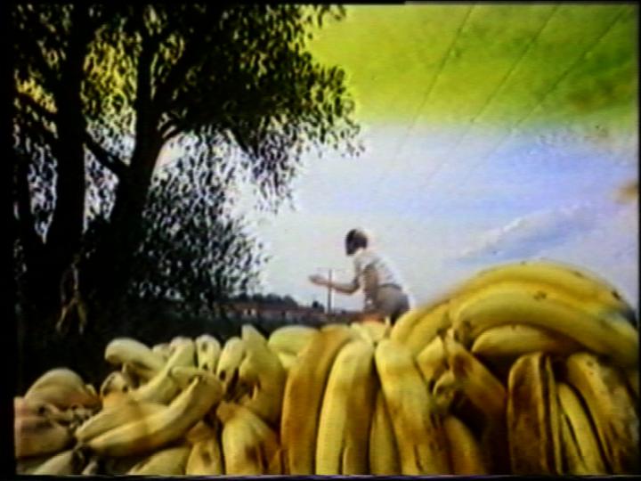 Werk - Bananen