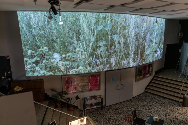 The image shows an elongated screen in an interior space with a green meadow on its surface.