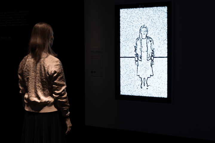 A woman's silhouette is represented by virtual flies on a screen