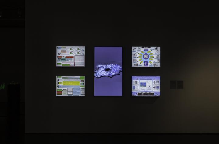 You can see four smaller screens and in the middle a larger screen in portrait format. On the four screens are various information graphics. The screen in the middle shows a blue entity.
