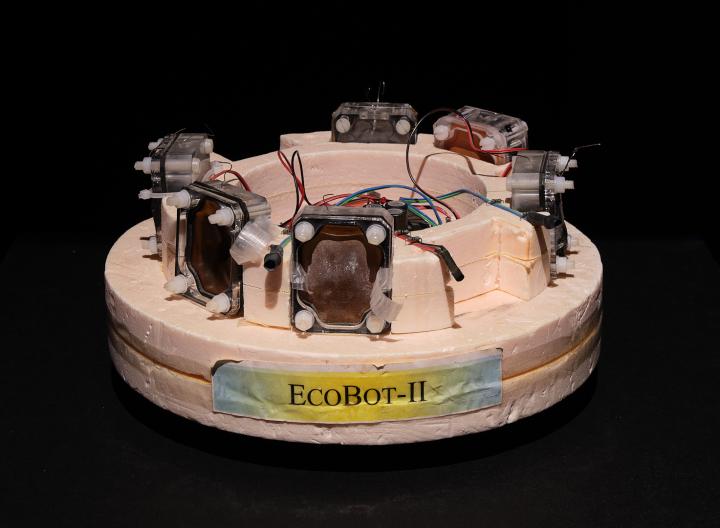 »EcoBot I«, (2002); »EcoBot-II«, (2005) vom Bristol Robotics Laboratory. 