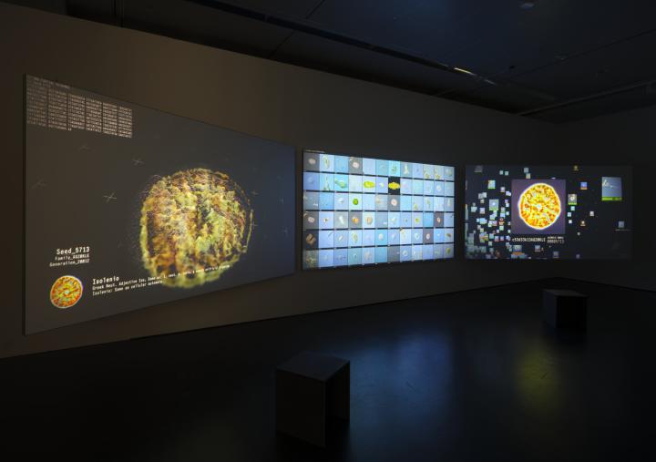 »Codex Virtualis: Genesis« von Interspecifics. Zu sehen ist ein abgedunkelter Raum, indem drei große Bildschirme an der Wand hängen. Diese bilden verschiedne Organismen ab.