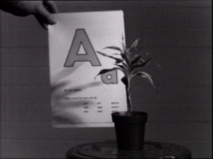 Teaching a Plant the Alphabet