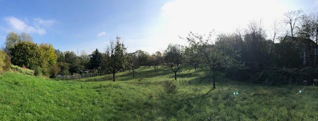 Impression of the ZKM orchard