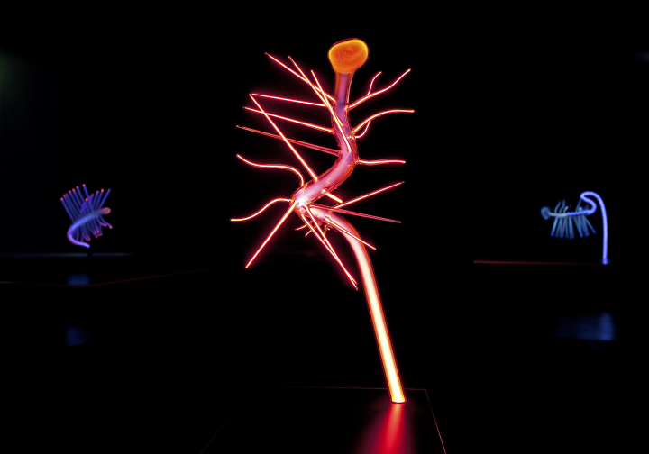 You can see a red glowing, narrow and curved figure with spikes against a black background. She is surrounded by two other blue figures of her kind. 
