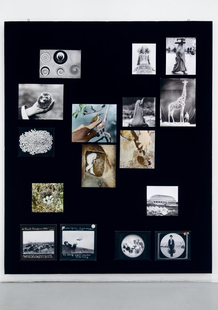 Schwarze Tafel mit farbigen Bildreproduktionen von Linda Fregni Nagler.