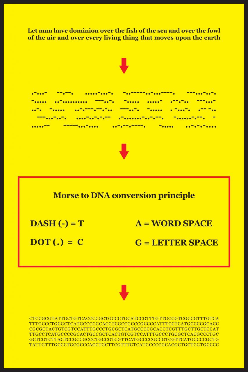 Gelbes Schaubild mit Morsezeichen und schwarzer Schrift