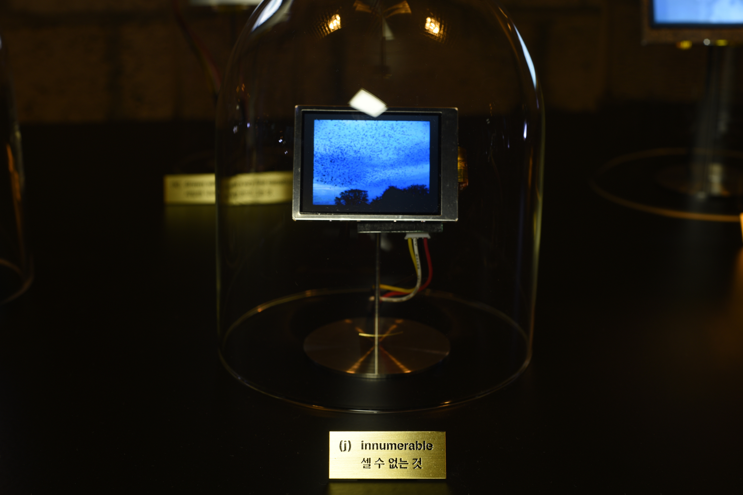 The photo shows a glass bell with a small screen.