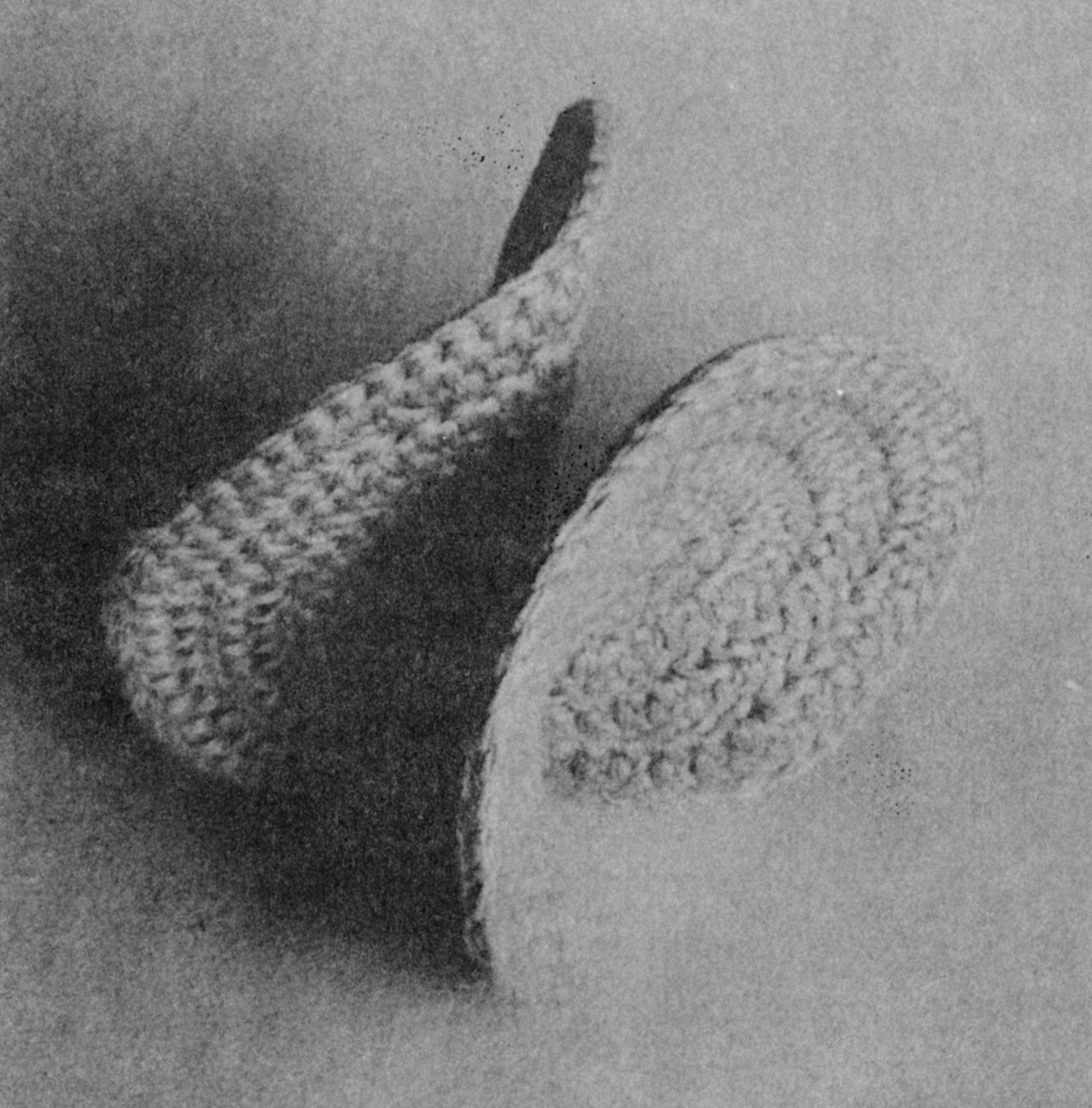 Gehäkelte Riemannsche Fläche