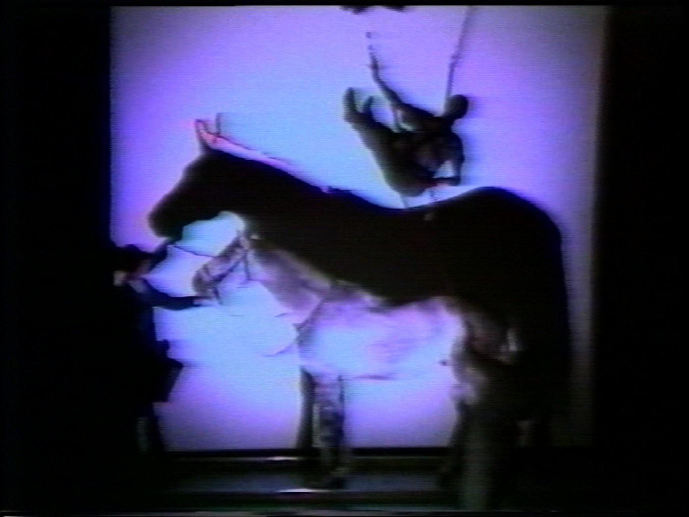 Werk - Aló (The Horse) (Ausschnitt / excerpt) - i001803.jpg
