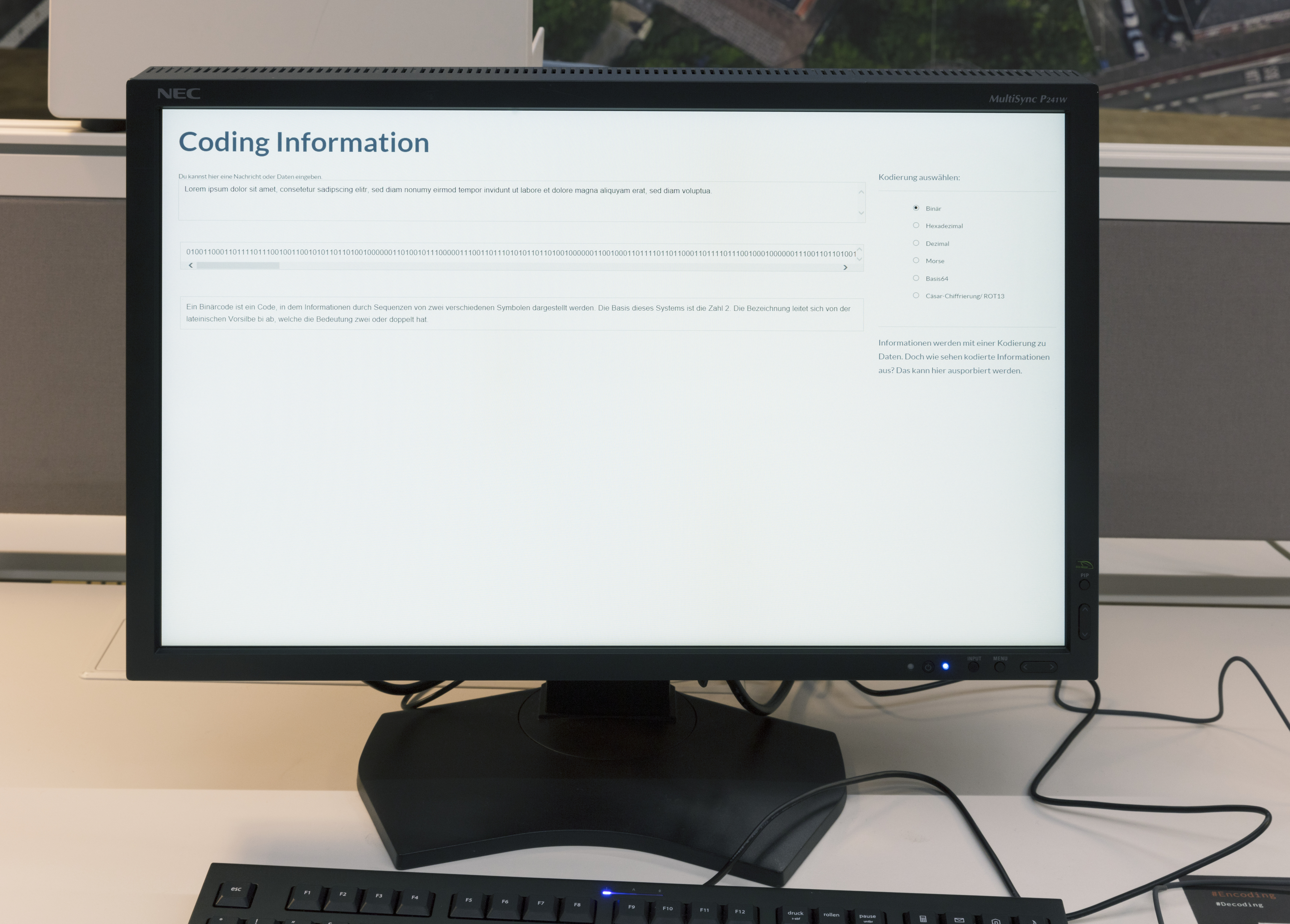 Ein Monitor zeigt einen Text und Binärcode