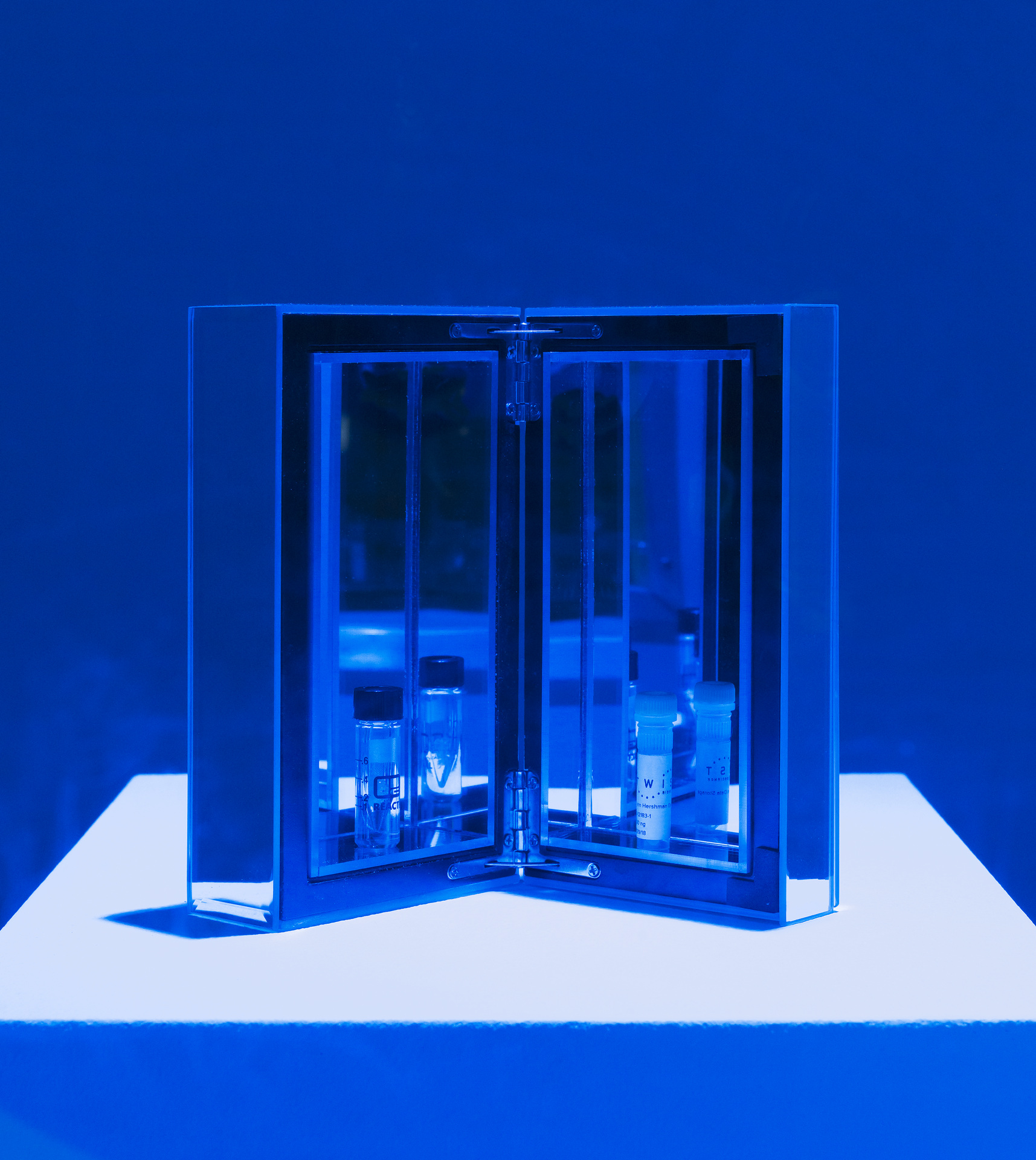 You can see the work »The Infinity Engine«. You can see an opened, mirrored object, which contains test tubes.