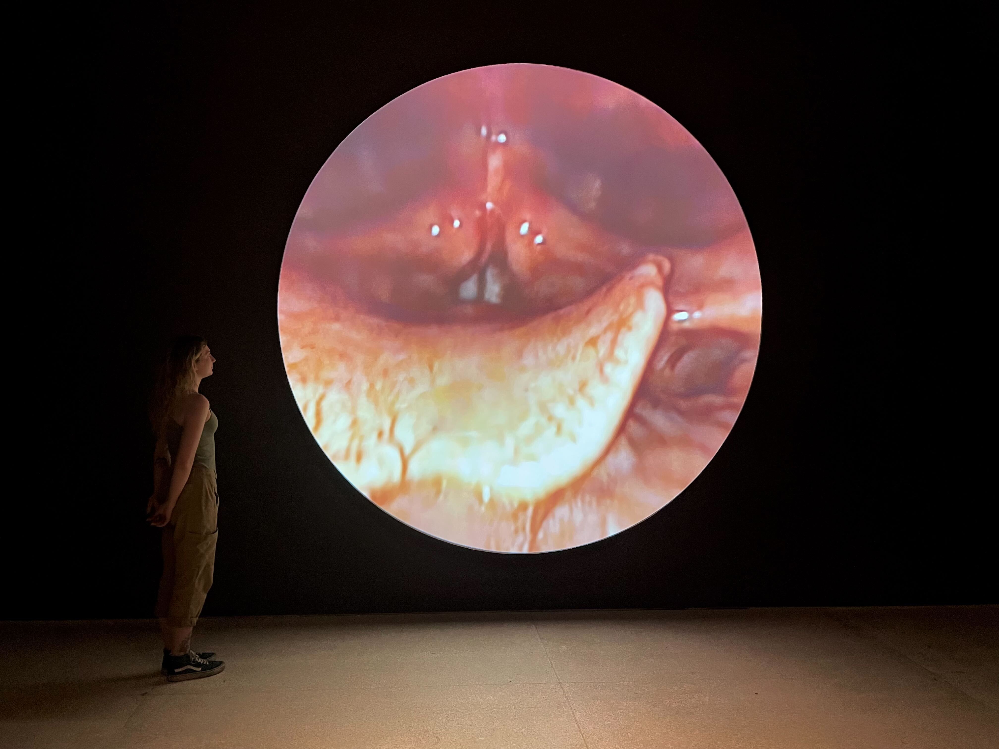 Man sieht das Werk »Vocal Folds«. Eine Frau steht in einem abgedunkelten Raum und schaut auf eine runde Projektion. Die Projektion zeigt eine Magenspiegelung.