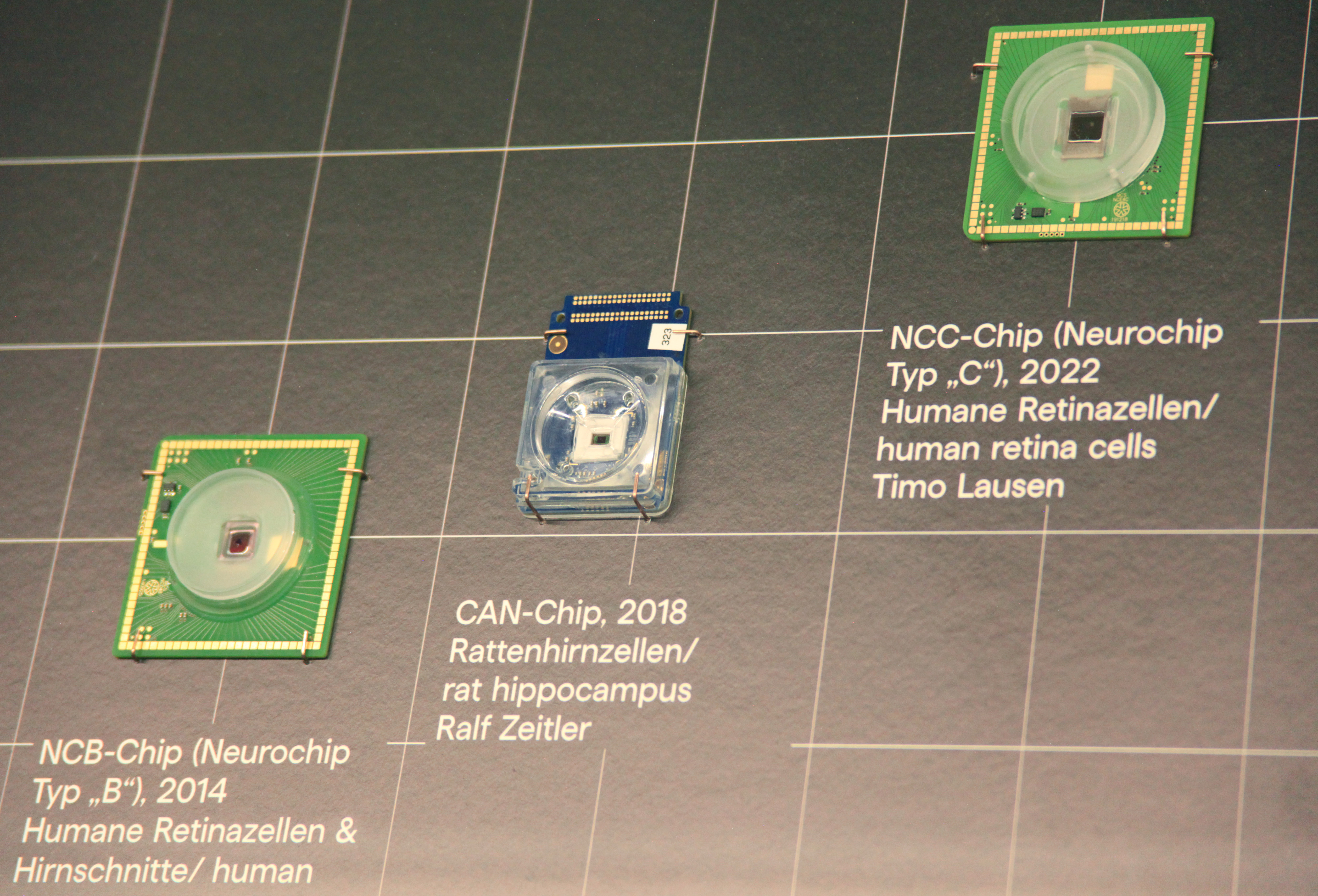 Drei verschiedene Neurochips vor einer grauen Wand.