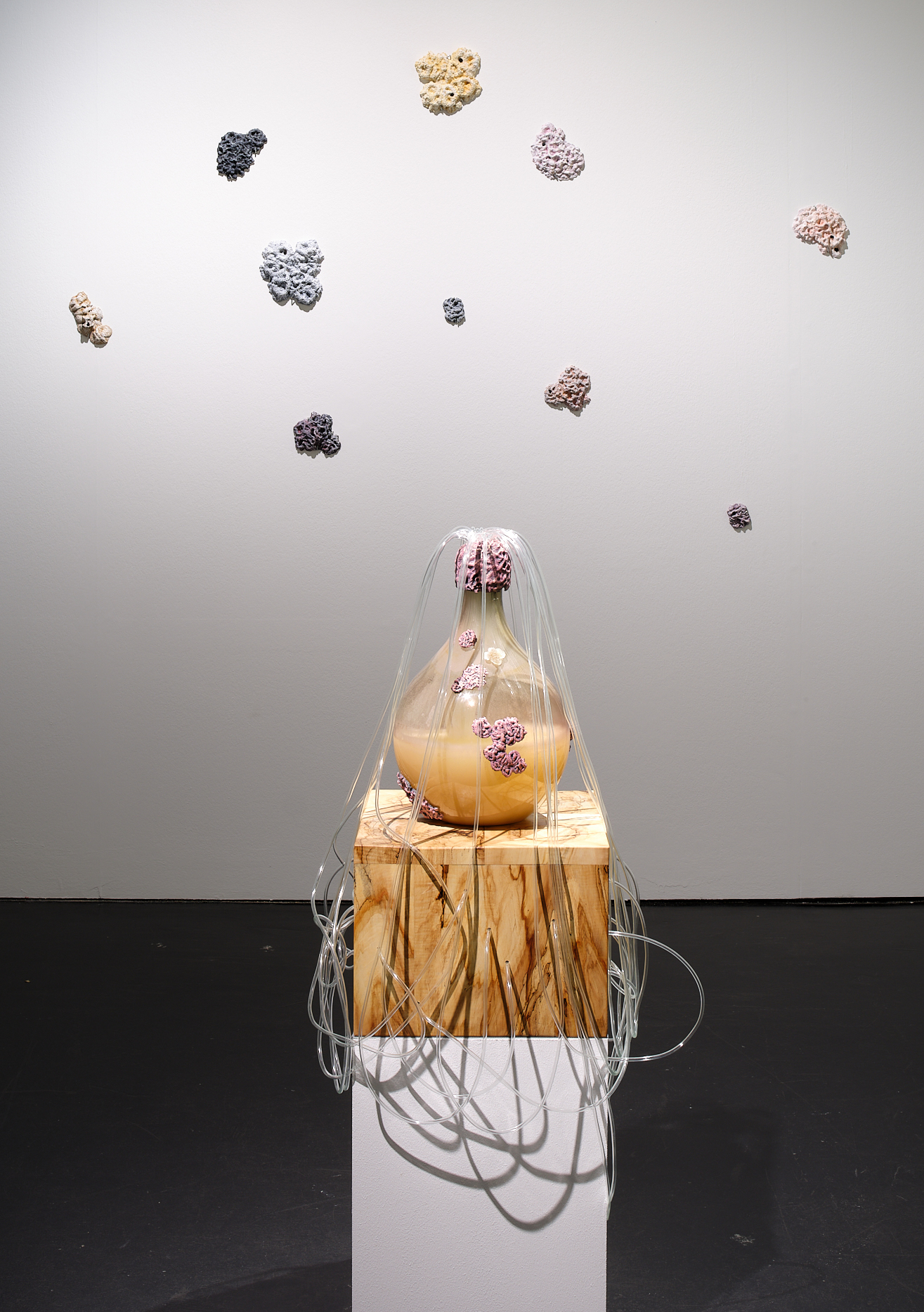 Man sieht das Werk »Fermenting Futures«. In der Mitte befindet sich ein Glasbehältnis, gefüllt mit einer Flüssigkeit. An dem Glas sind organische Objekte befestigt. Aus der Öffnung führen mehrere Schläuche.