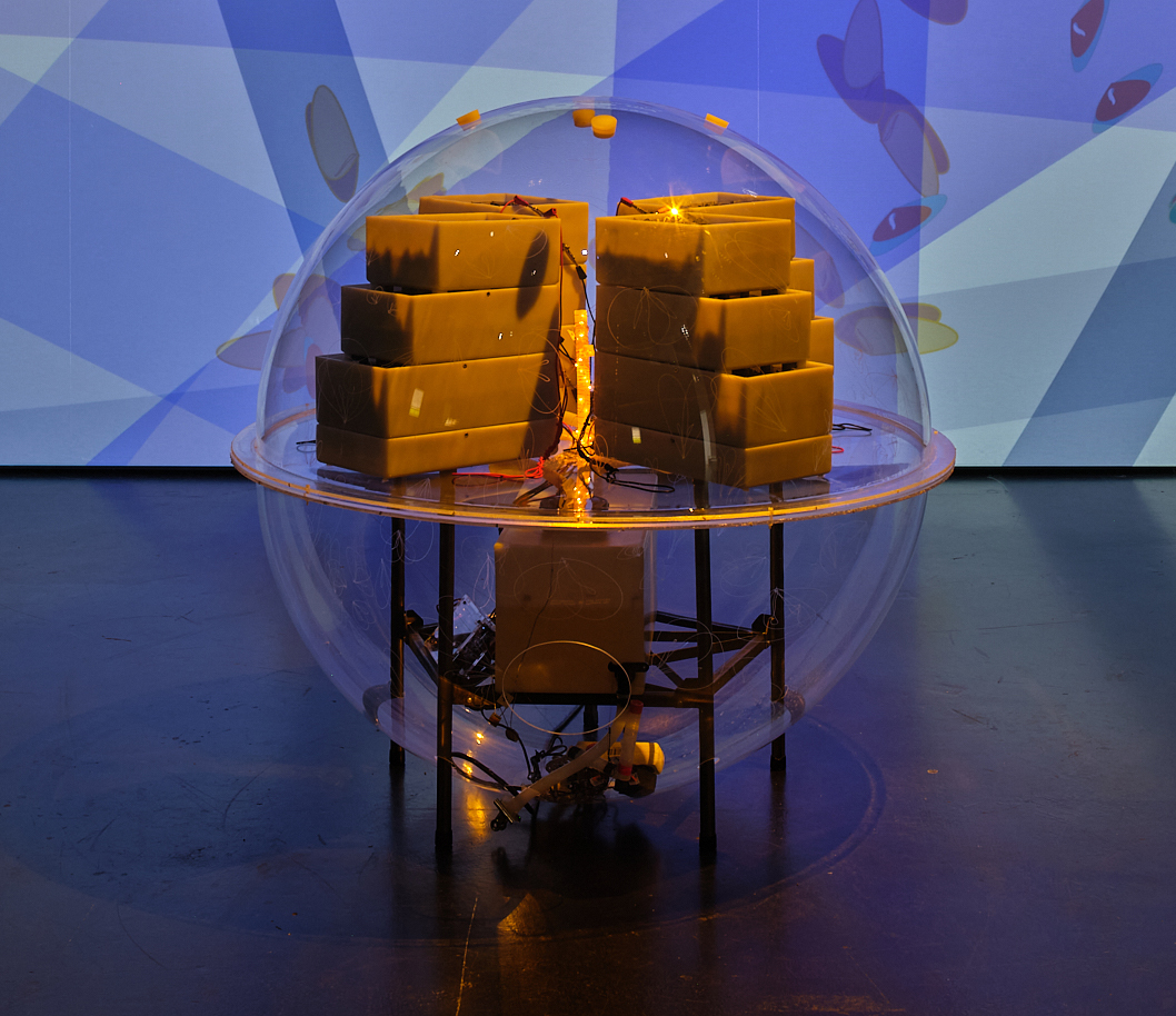 »Active Living Infrastructure: Controlled Environment (ALICE) 2.0« von Julie Freeman. In einer durchsichtigen Kugel befinden sich rechteckige Barren, in deren Mitte befindet sich ein Licht. Die Kugel steht vor einem großen Bildschirm.