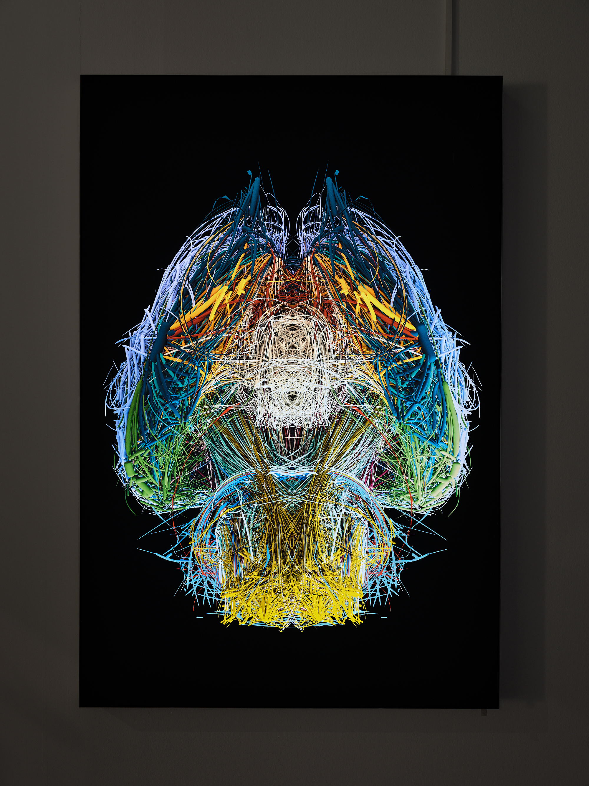 »The Mouse Connectome« vom BarabásiLab. Zu sehen sind unzählige, verschiedenfarbige Linien. Diese formen sich zu einer pilzförmigen Figur. Der Hintergrund ist schwarz.