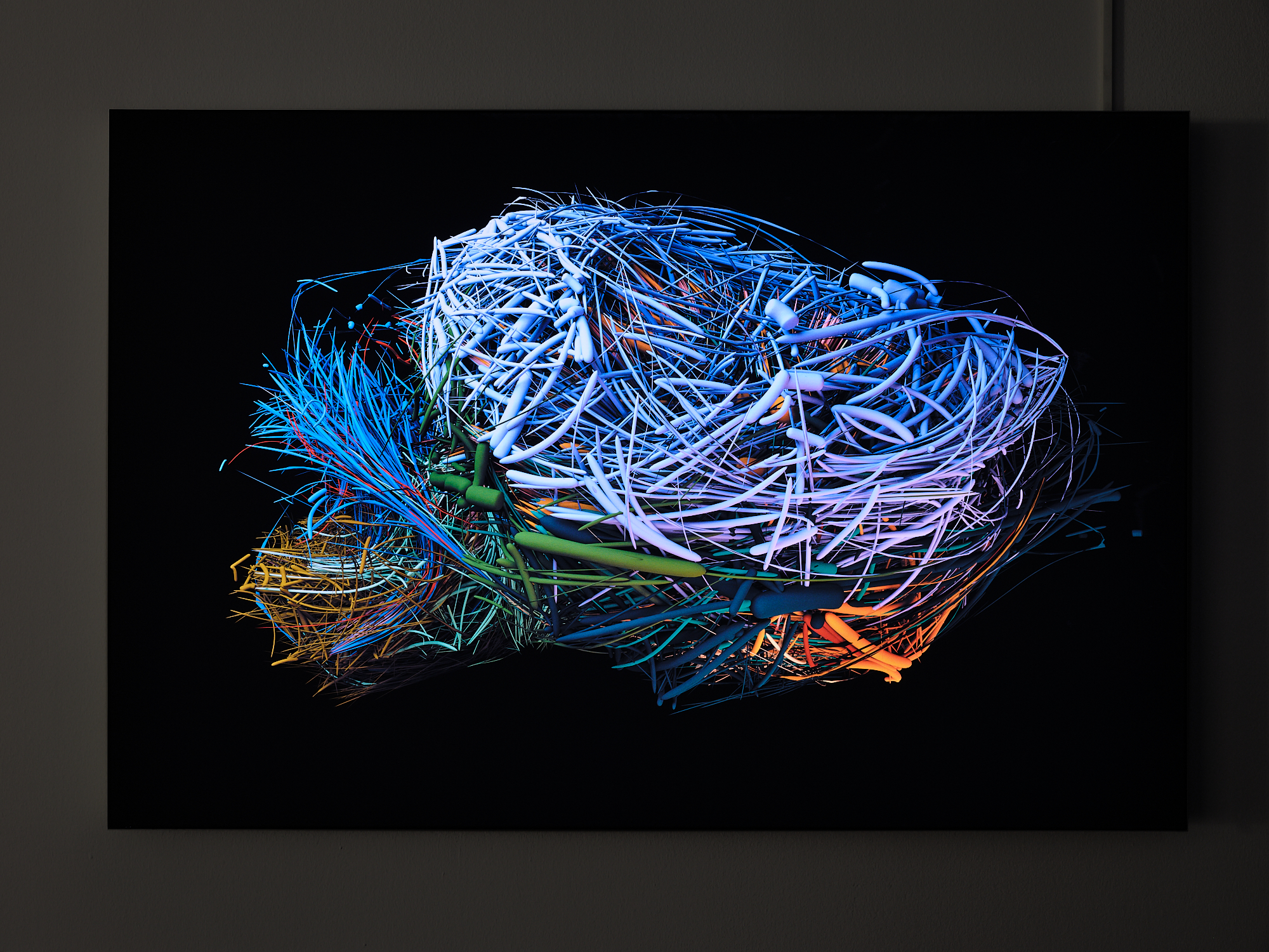 »The Mouse Connectome« vom BarabásiLab. Zu sehen sind unzählige, verschiedenfarbige Linien. Diese formen sich zu einem Nest. Der Hintergrund ist schwarz. 