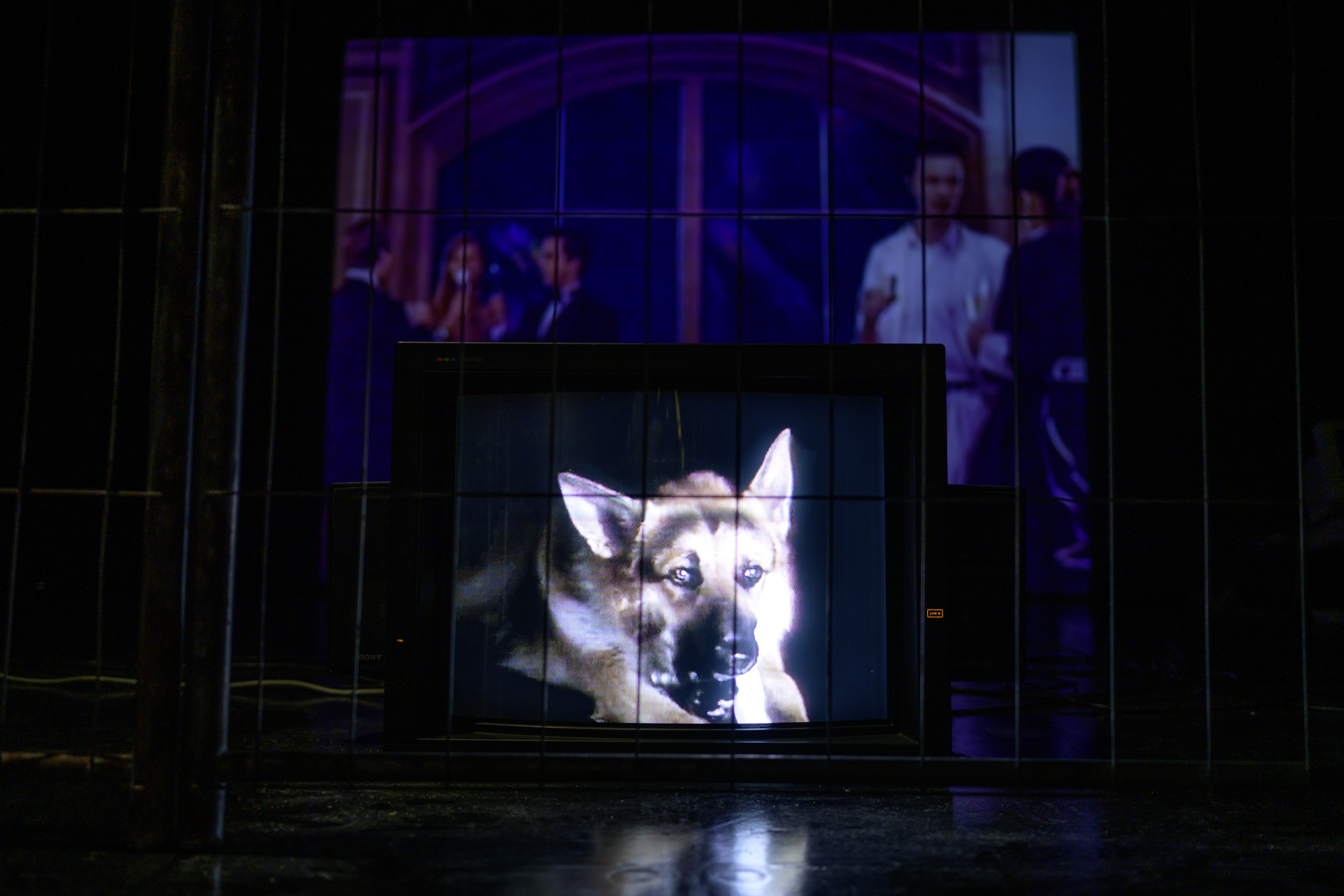 Yuppie Ghetto with Watchdog