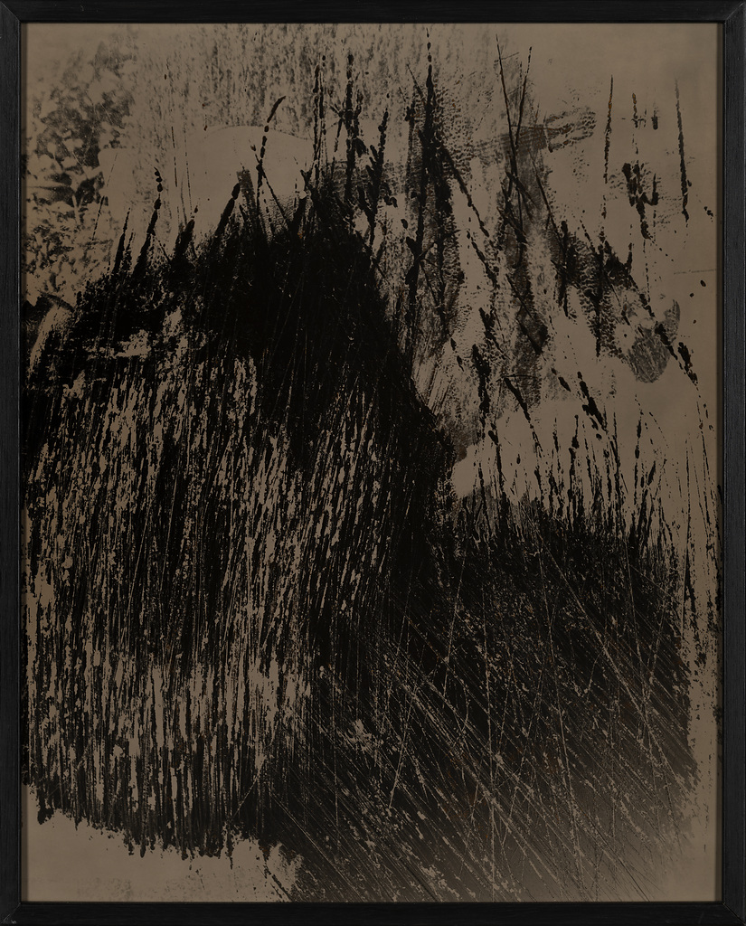 Dacapo II. Pão de Açúar