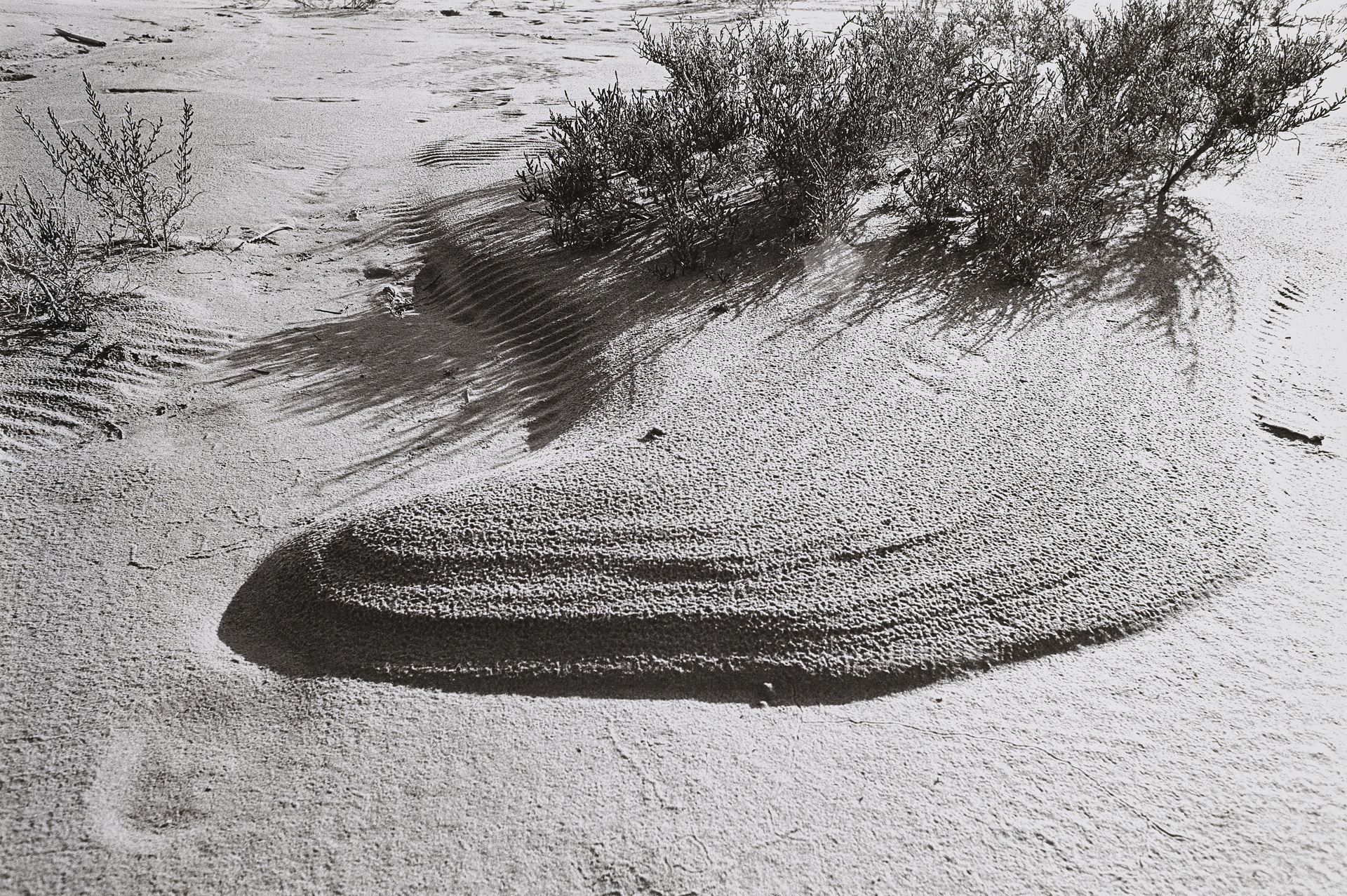 Während der Dreharbeiten zu Marinus Boezems ›Sand Fountain‹, Camargue, Frankreich, Januar 1969