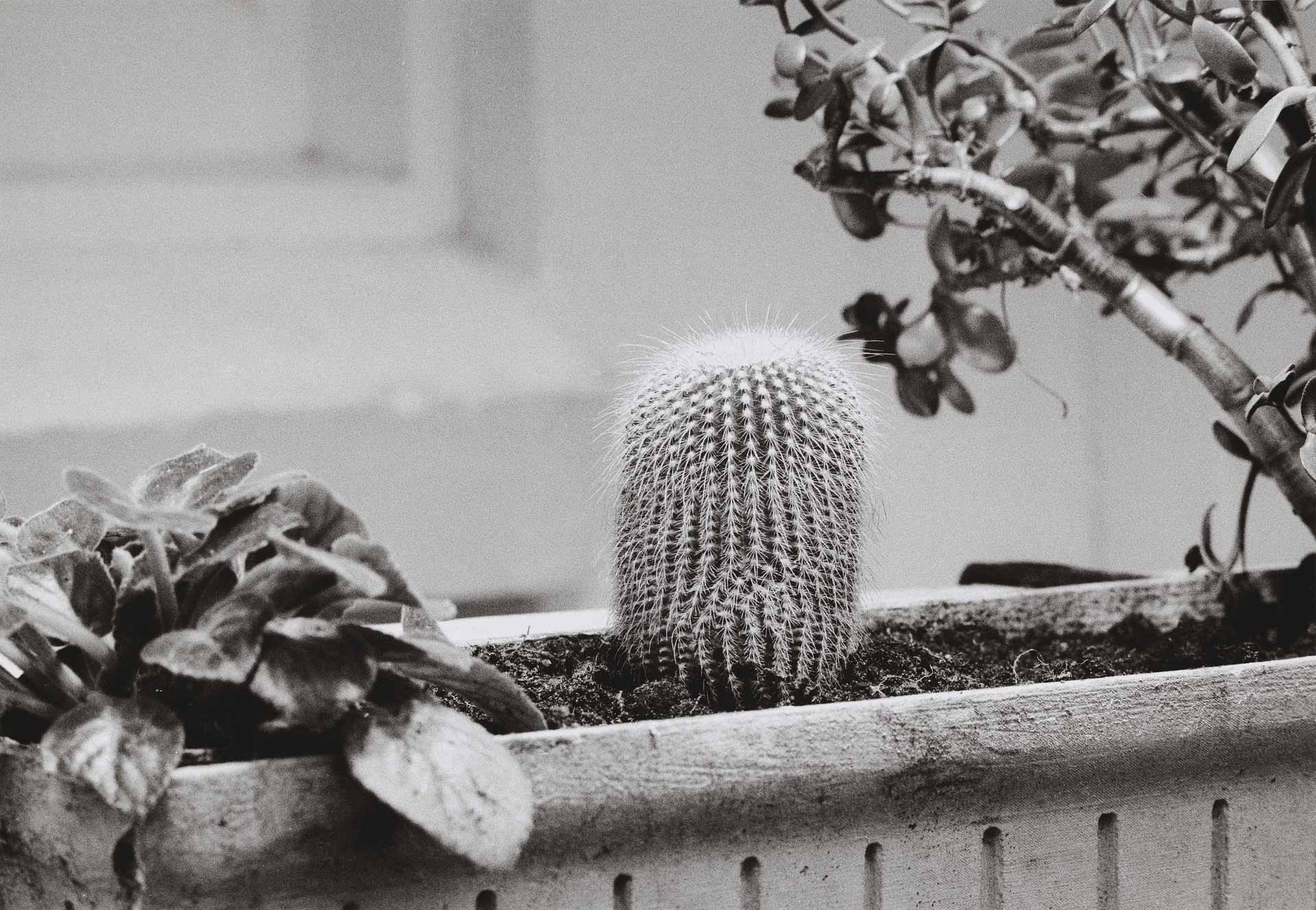 Während der Dreharbeiten zu Ger van Elks Beitrag für ›IDENTIFICATIONS‹ (II. Fernsehausstellung der Fernsehgalerie Gerry Schum), 1970