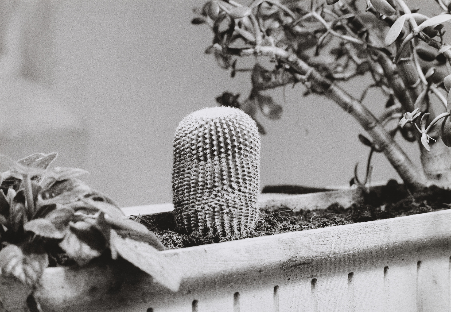 Während der Dreharbeiten zu Ger van Elks Beitrag für ›IDENTIFICATIONS‹ (II. Fernsehausstellung der Fernsehgalerie Gerry Schum), 1970
