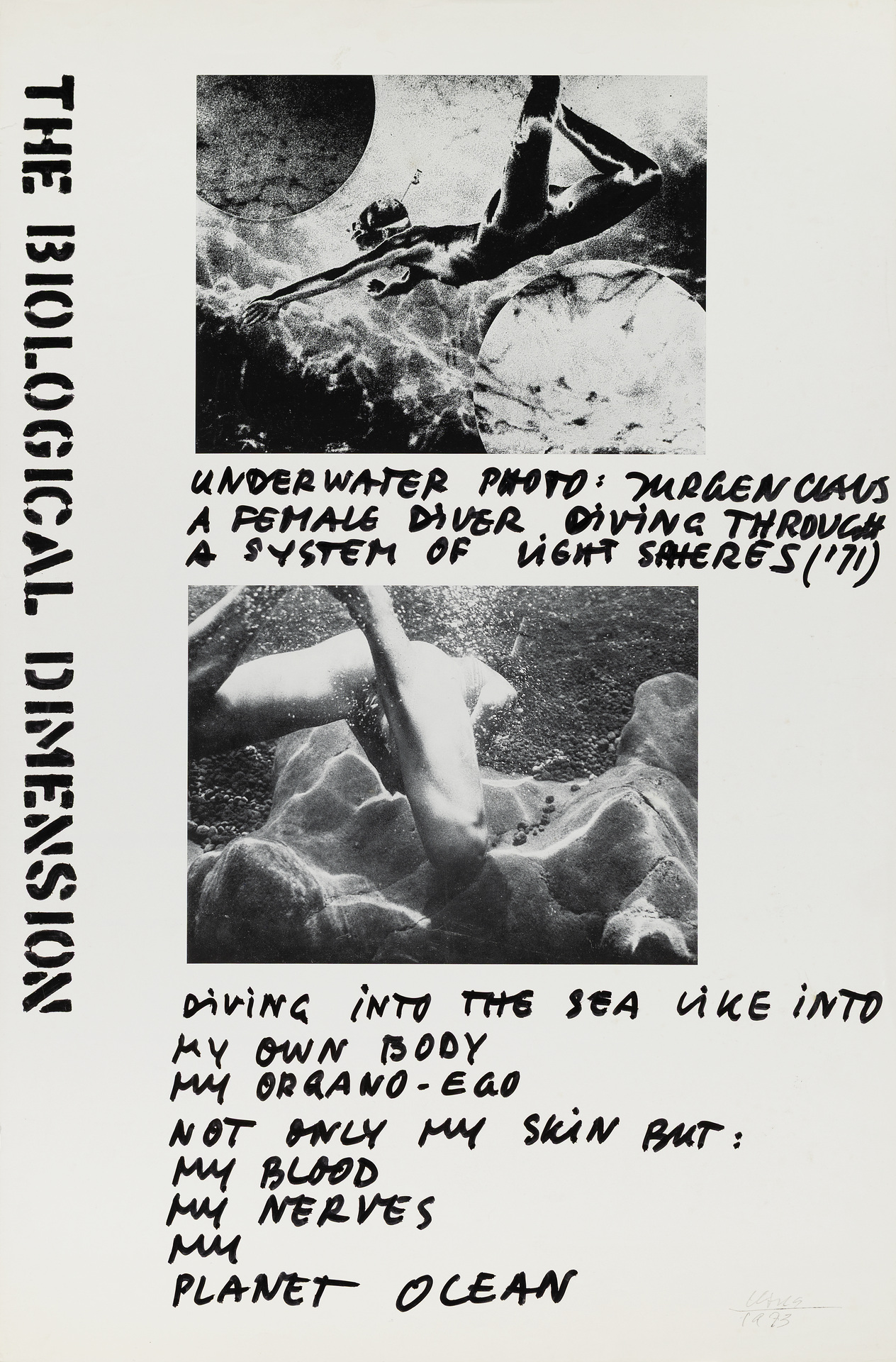The Biological Dimension