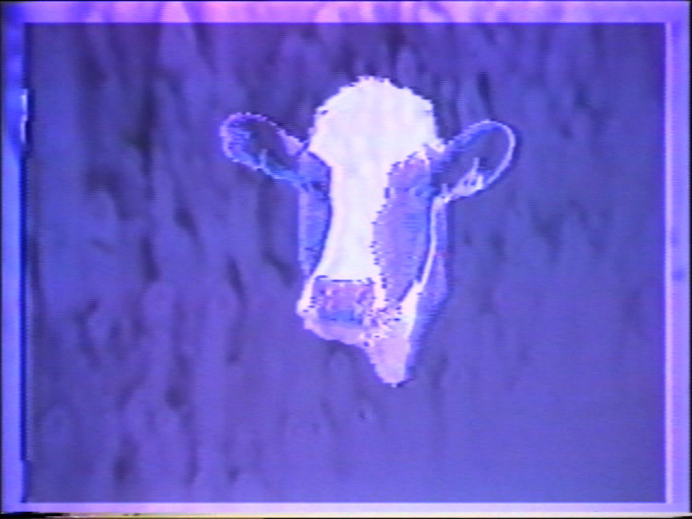 Technology Knows no Sacred Cows | ZKM
