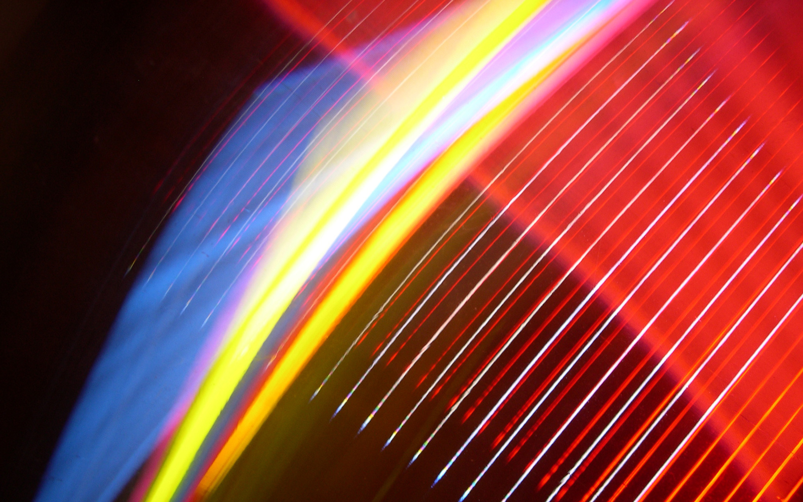 Das Bild zeigt eine vierfarbige Lichtinstallation