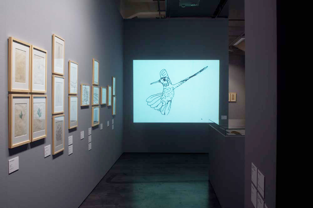 Blick in die Ausstellung »bit international«. An der linken Wand hängen Computergrafiken. In der Mitte ist eine Projektion des Films »Hummingbird« von Charles Csuri zu sehen..