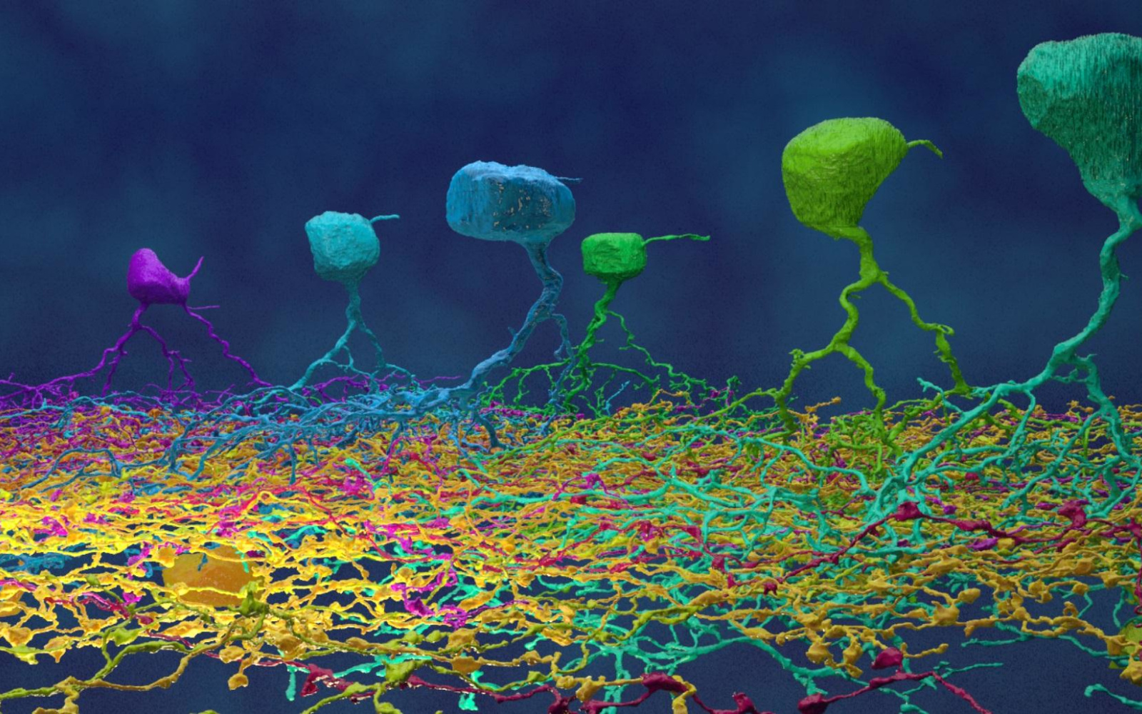 Screenshot taken from a Computergame: colourful netlike tissue