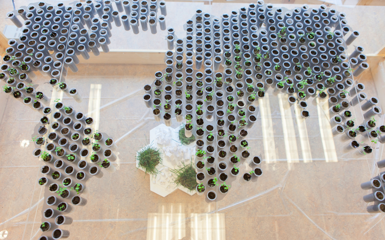 Map of the earth made of small pot plants