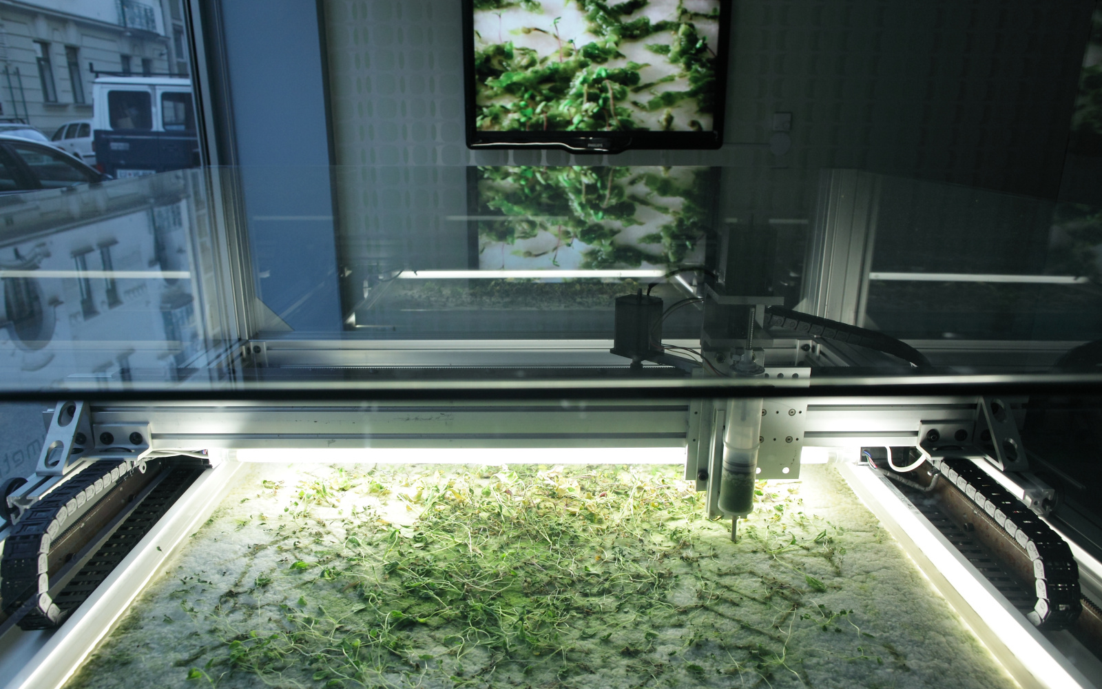 Ein Labor mit Algen