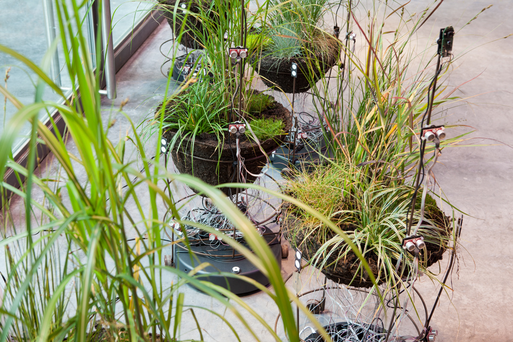 Small plant units on rollable metal frame. The plants are equipped with electrical engineering.