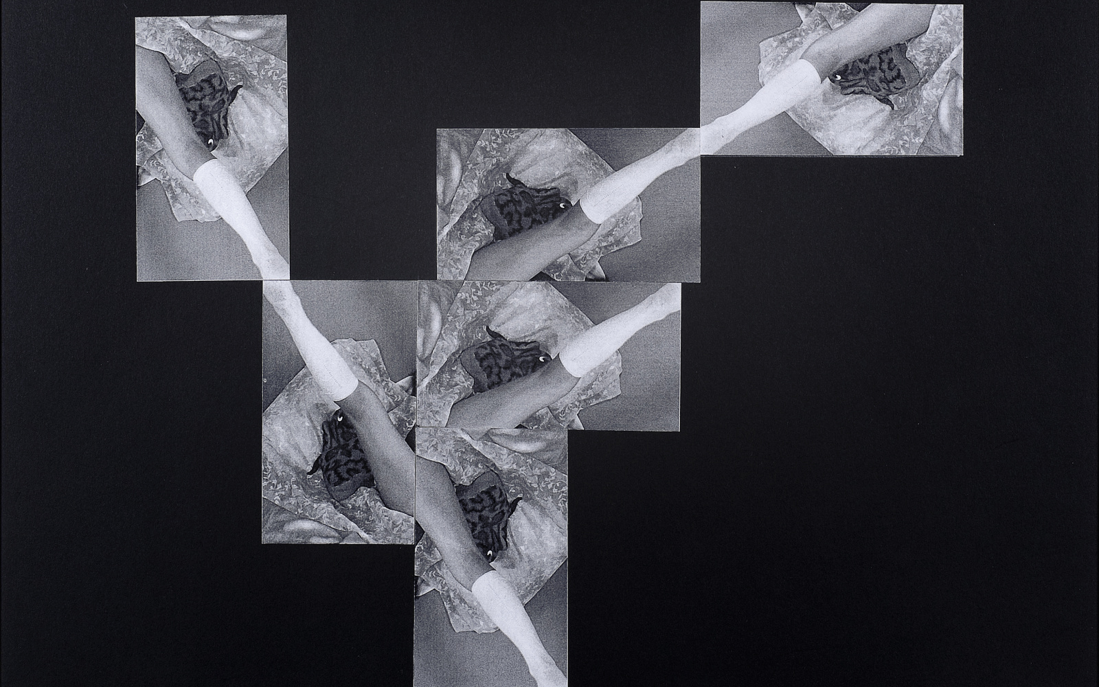 Gerhard Rühm, »aus der Serie FOTOMONTAGEN« - diagonalstudie
